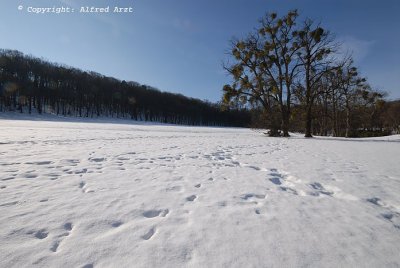 Footpaths