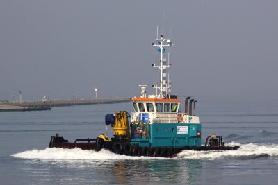 COASTAL PROTECTOR