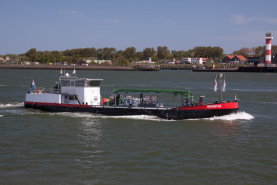 REGGEPLUS