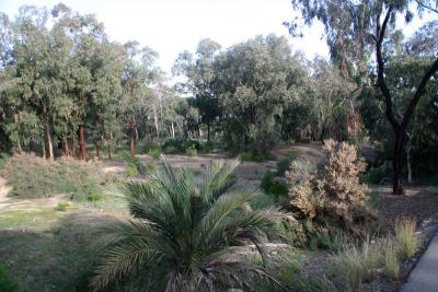 g3/38/627538/3/57988738.GUARDAMARParquedeAlfonsoXIII.jpg
