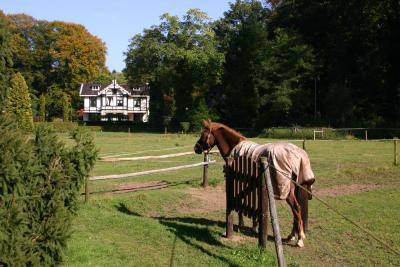 g3/38/627538/3/57989773.PUTTEN.jpg