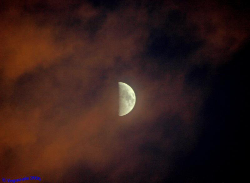 August Half Moon