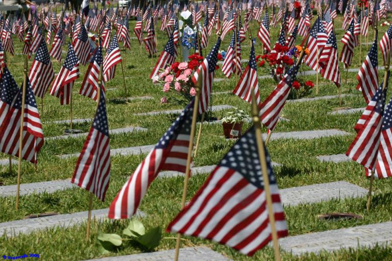 The veterans