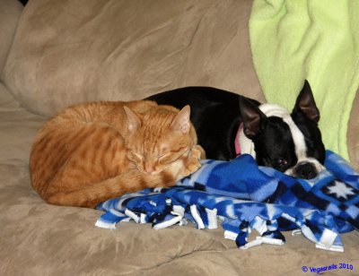 Best Friends