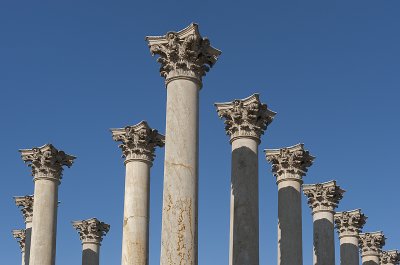 National Arboretum, US Capitol columns