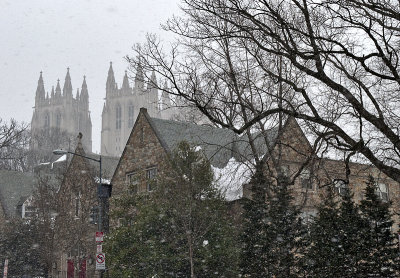 National Cathedral thru the snow
