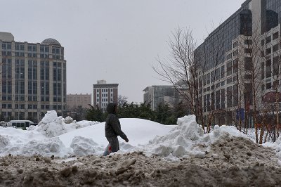 Pick your brand of snow