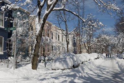 Day after: Our block in white