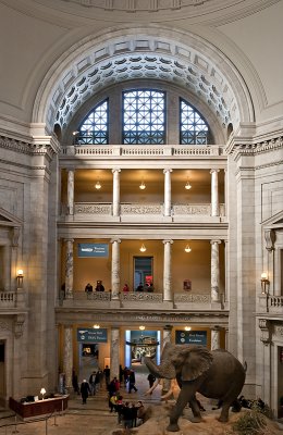 Natural History Museum