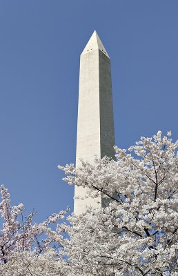 Washington in spring