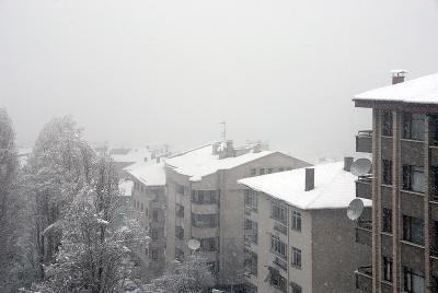 Winter view