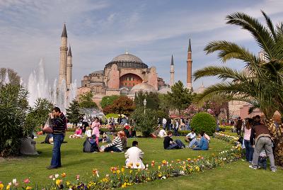 Tulips in shadow of Aya Sofya