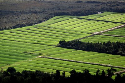 New Zealand Landscapes