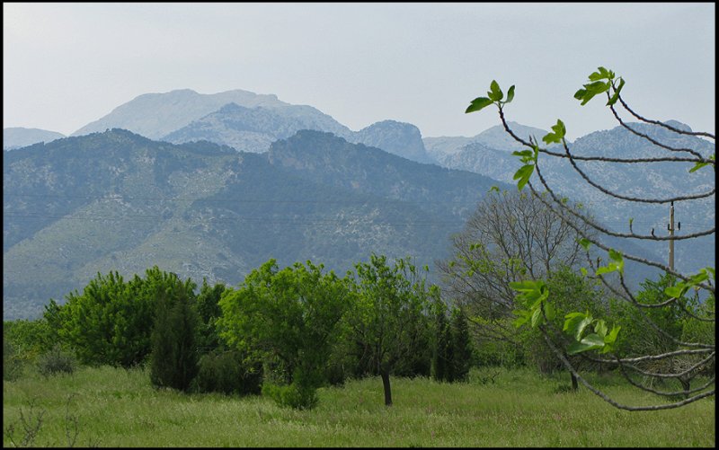 Tramontana mountains.jpg