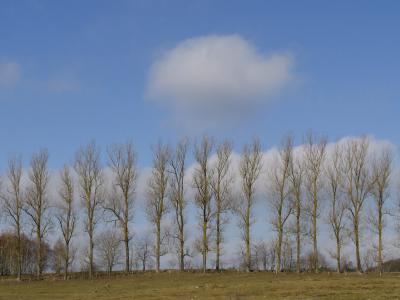 g3/38/644138/3/58463269.bltt.jpg