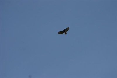 IMG_0492.JPG