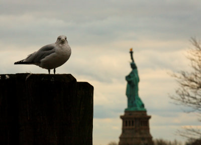 Ellis Island 120309 59.jpg