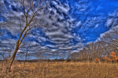 IMG_7436_tone mapped 3.jpg
