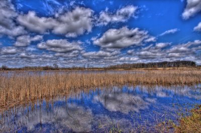 IMG_57640_1_2_tonemapped2.jpg