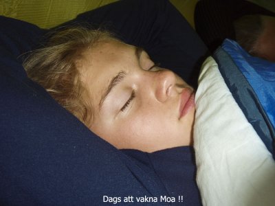 moa sover.jpg