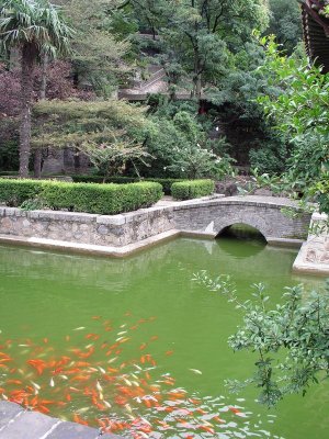 Xian - Huaqing Hot Springs - goldfish pool