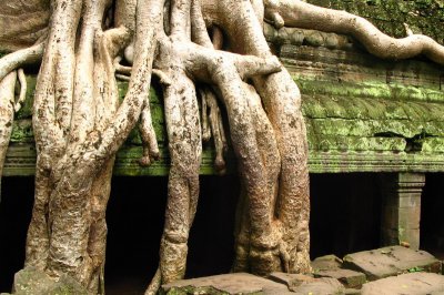 Cambodia -Angkor Wat