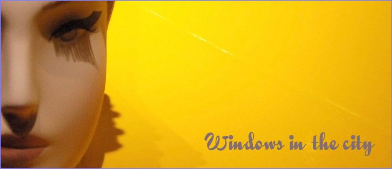 Windows in the city Banner.
