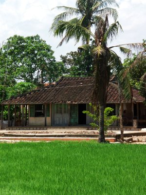 Vietnam' s house.