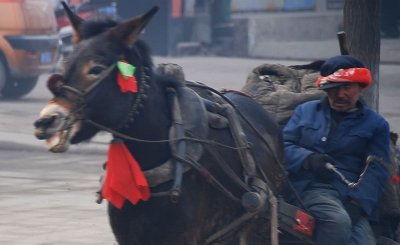  China. Live to Pingyao.