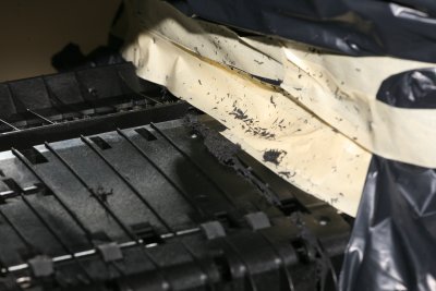 Cutting 1.jpg