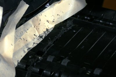 Cutting 2.jpg