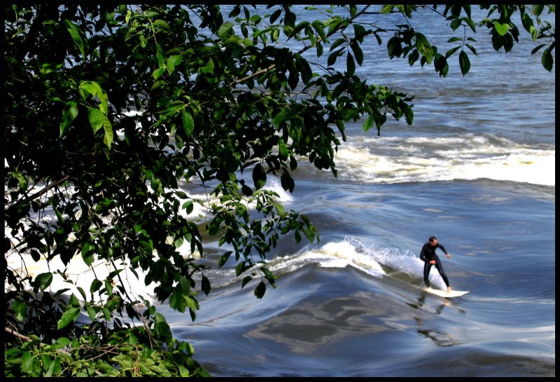 Surfing the St Lawrence River in Montreal.