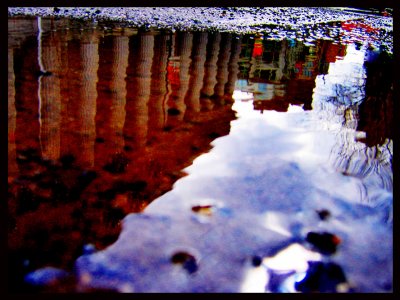 20090311_0427.JPG