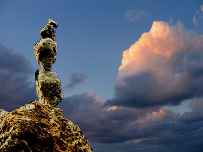 11117a.jpg