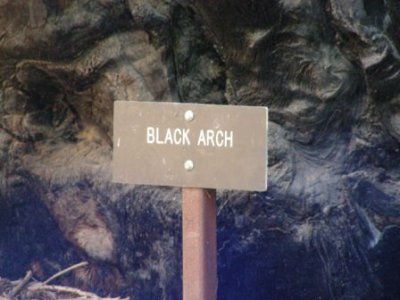 Black Arch Tree3.jpg
