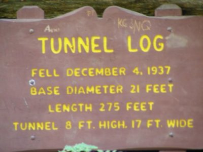 Tunnel Log Sign.jpg