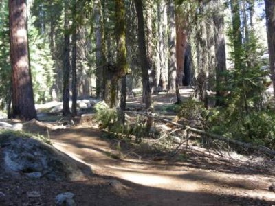 2008-Sequoia-National-Park