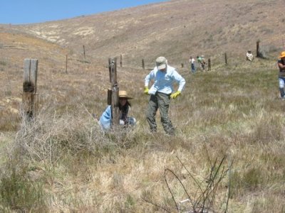 Fence post duty.JPG