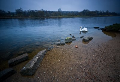 g3/38/795138/3/111142889.EI8OvPCg.jpg