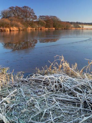 19_Dec_07  Cold and Frosty