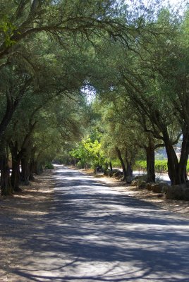 Country lane