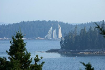 Distant schooner