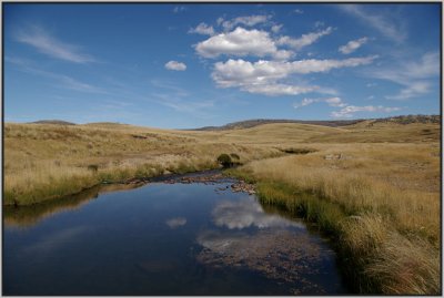 New South Wales