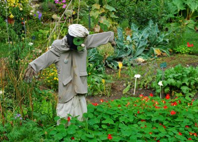 Garden Scarecrow at Jardin des Plantes