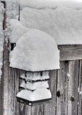 Oriental Lantern in the Snow