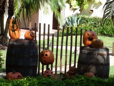 pumpkins