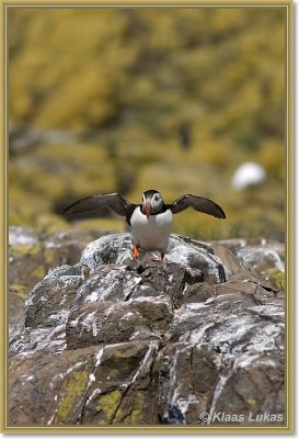 sized__DSC0460a.JPG