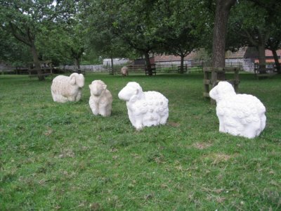 Sculptured sheep