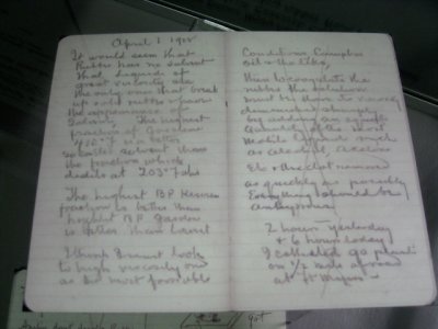 Edison's journal
