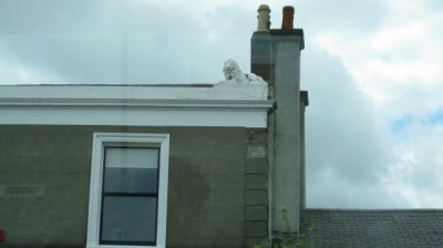 Lion on the roof